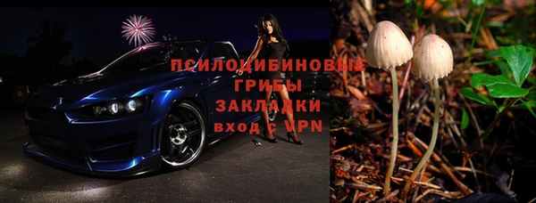 крисы Новокубанск