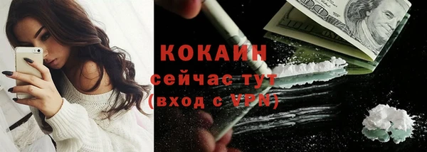 крисы Новокубанск