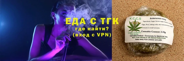 шишки Новозыбков