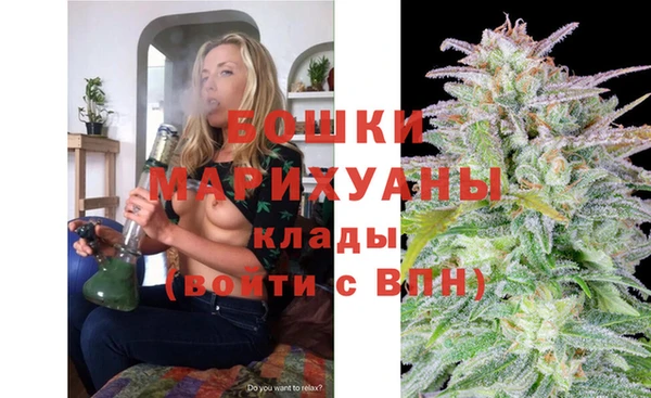 шишки Новозыбков