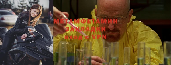 шишки Новозыбков
