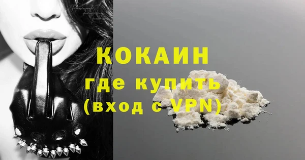 шишки Новозыбков