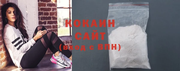 шишки Новозыбков