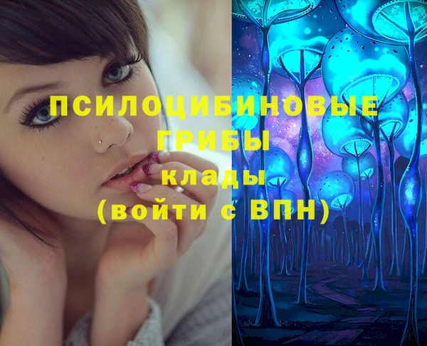 крисы Новокубанск