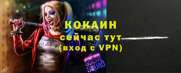 крисы Новокубанск