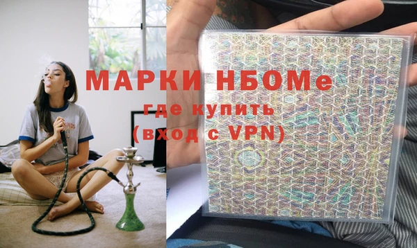 шишки Новозыбков