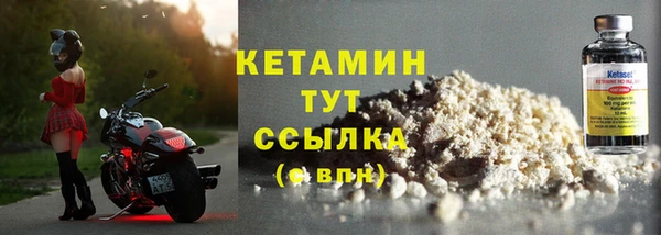 крисы Новокубанск