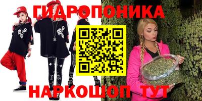 стафф Донской