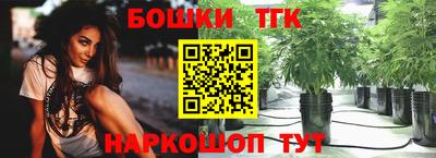 стафф Донской