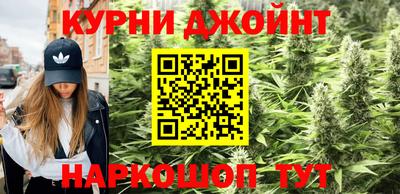 прущие грибы Донецк
