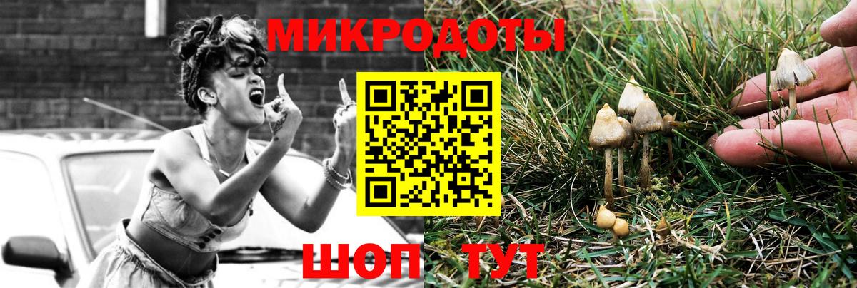 Галлюциногенные грибы Psilocybe  Псилоцибиновые грибы Cubensis  Кропоткин  Вход с VPN 